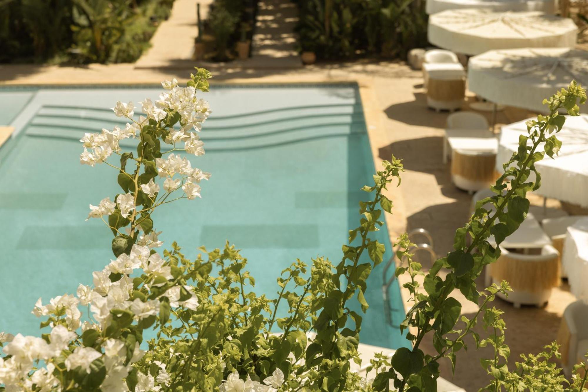 Les Palmiers Boutique Hotel & Spa マラケシュ エクステリア 写真