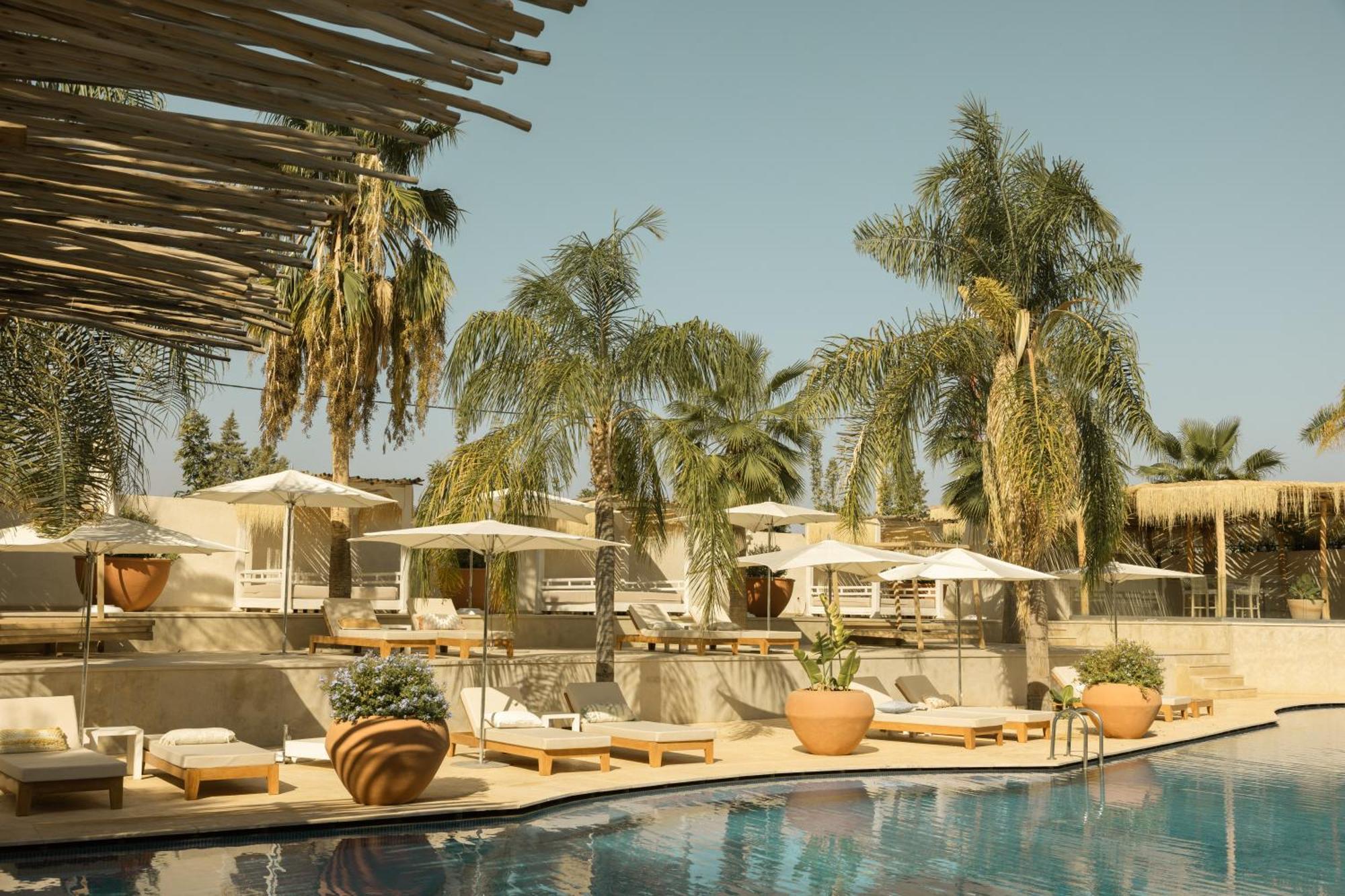 Les Palmiers Boutique Hotel & Spa マラケシュ エクステリア 写真